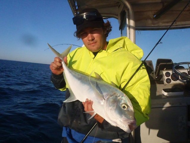 jigged trevally